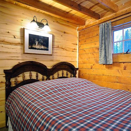 Pioneer Guest Cabins クレスティド・ビュート エクステリア 写真