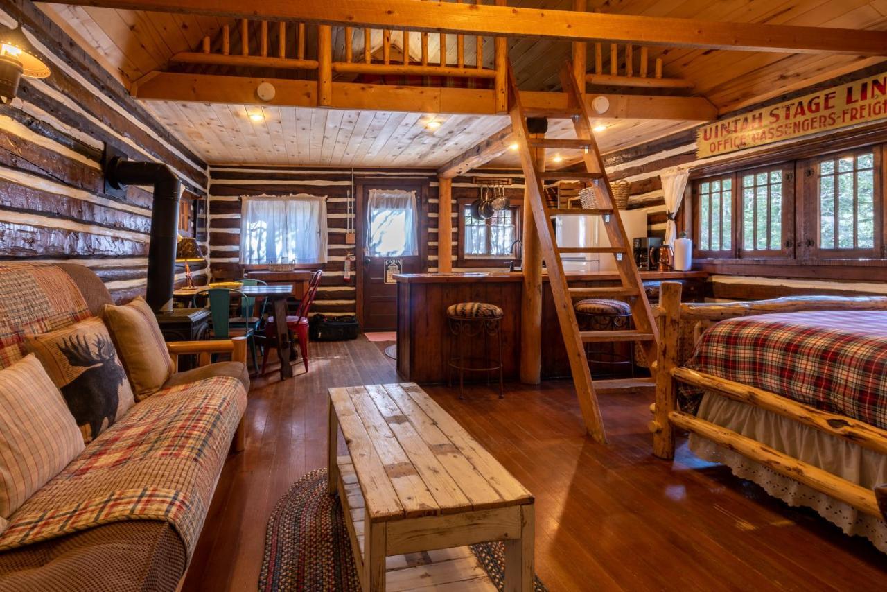 Pioneer Guest Cabins クレスティド・ビュート エクステリア 写真