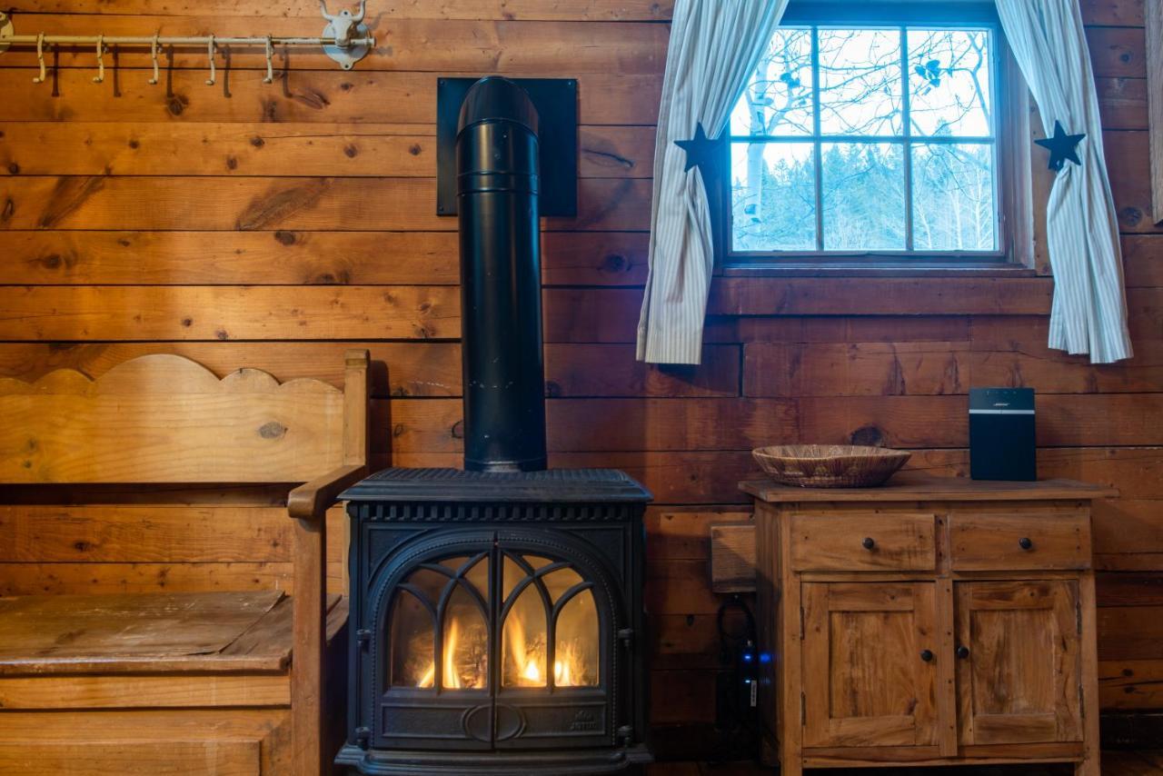 Pioneer Guest Cabins クレスティド・ビュート エクステリア 写真