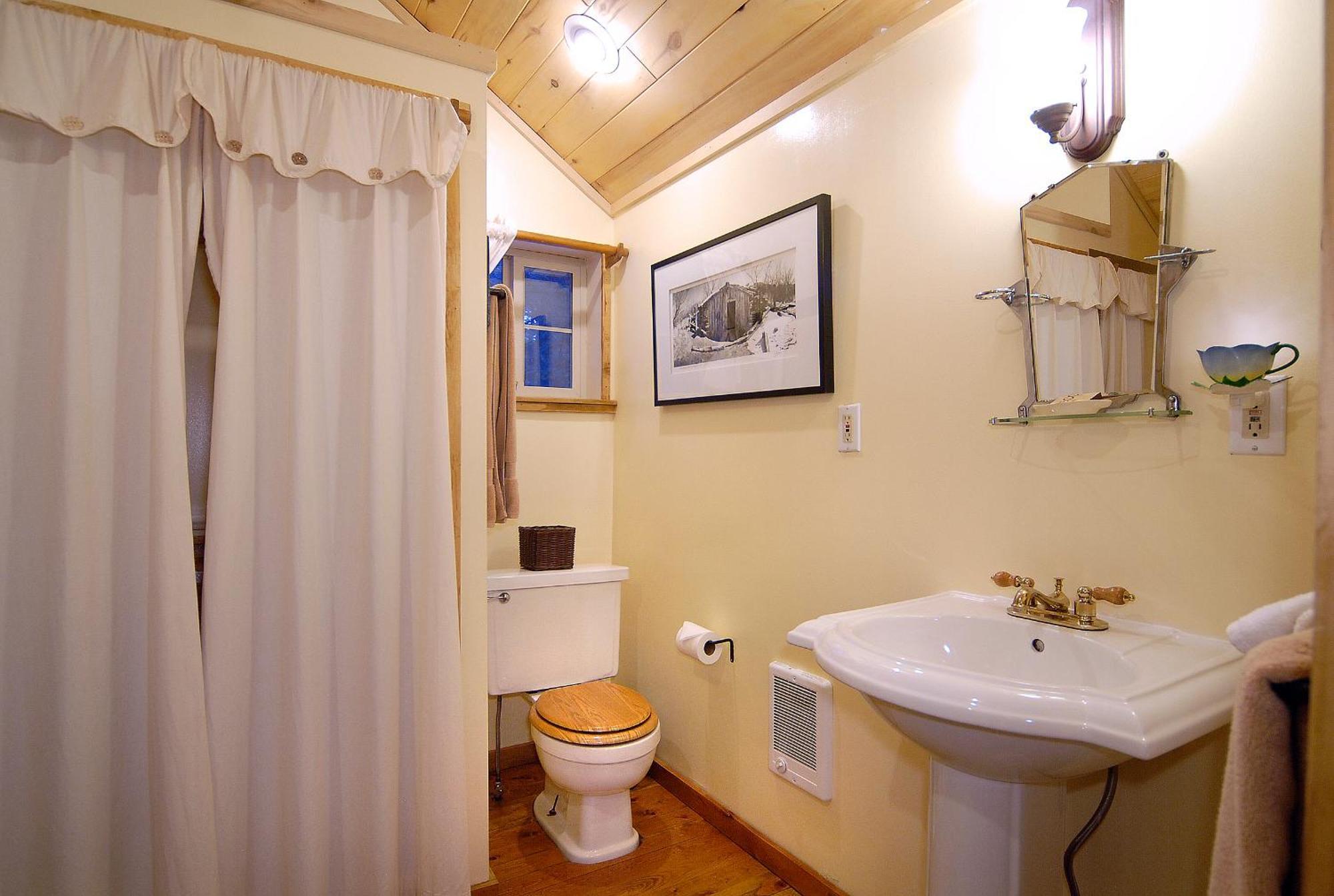 Pioneer Guest Cabins クレスティド・ビュート エクステリア 写真